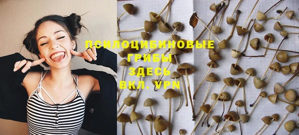 тгк Алзамай