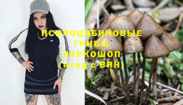 тгк Алзамай