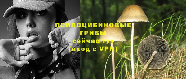 spice Алексин