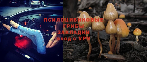 стафф Алексеевка