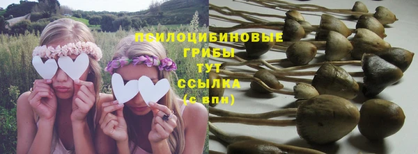 тгк Алзамай