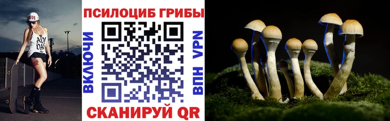 Галлюциногенные грибы GOLDEN TEACHER  Уссурийск 