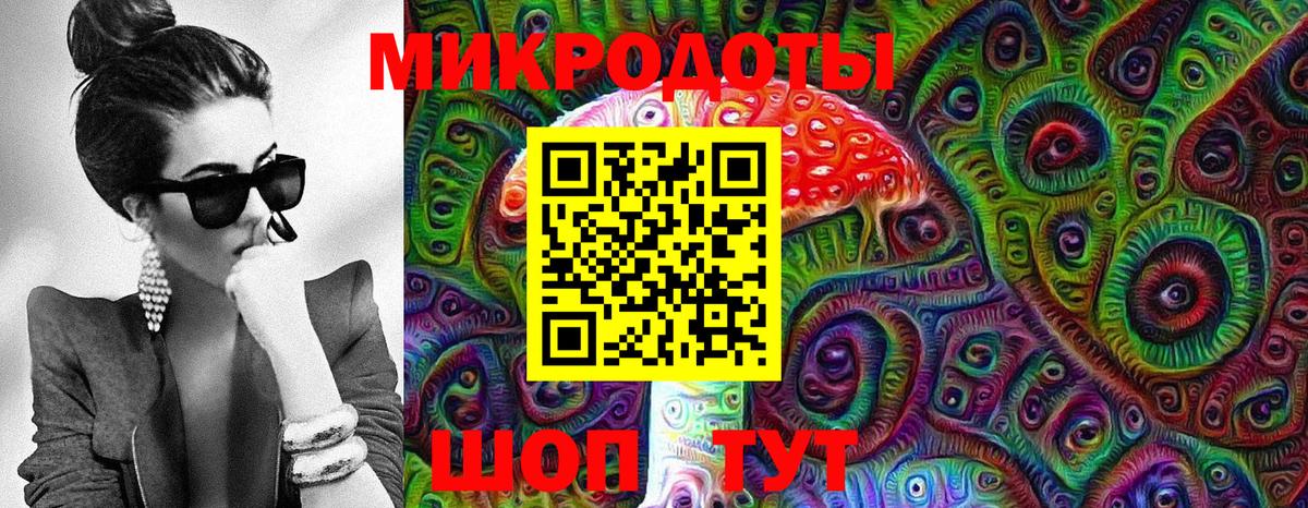 Галлюциногенные грибы Cubensis Уссурийск